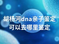 胡杨河dna亲子鉴定可以去哪里鉴定