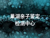 巢湖亲子鉴定检测中心