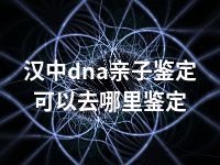 汉中dna亲子鉴定可以去哪里鉴定