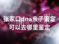 张家口dna亲子鉴定可以去哪里鉴定