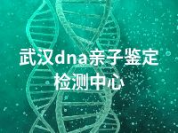 武汉dna亲子鉴定检测中心