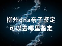 柳州dna亲子鉴定可以去哪里鉴定