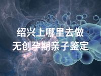 绍兴上哪里去做无创孕期亲子鉴定