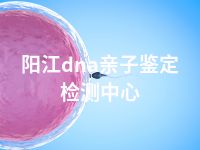 阳江dna亲子鉴定检测中心