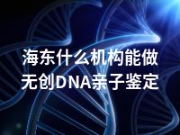 海东什么机构能做无创DNA亲子鉴定