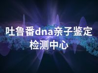 吐鲁番dna亲子鉴定检测中心