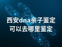 西安dna亲子鉴定可以去哪里鉴定