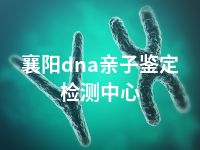 襄阳dna亲子鉴定检测中心