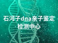 石河子dna亲子鉴定检测中心