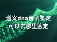 遵义dna亲子鉴定可以去哪里鉴定