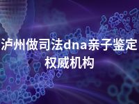 泸州做司法dna亲子鉴定权威机构