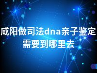 咸阳做司法dna亲子鉴定需要到哪里去