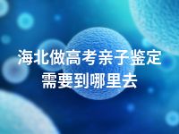 海北做高考亲子鉴定需要到哪里去