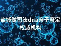 盐城做司法dna亲子鉴定权威机构