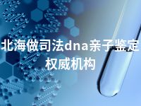 北海做司法dna亲子鉴定权威机构