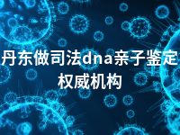 丹东做司法dna亲子鉴定权威机构