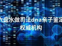 六盘水做司法dna亲子鉴定权威机构