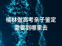 榆林做高考亲子鉴定需要到哪里去