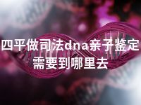 四平做司法dna亲子鉴定需要到哪里去