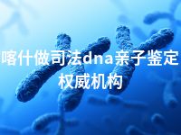 喀什做司法dna亲子鉴定权威机构