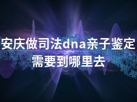 安庆做司法dna亲子鉴定需要到哪里去