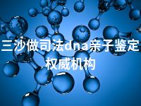 三沙做司法dna亲子鉴定权威机构