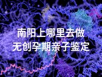 南阳上哪里去做无创孕期亲子鉴定