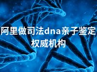 阿里做司法dna亲子鉴定权威机构