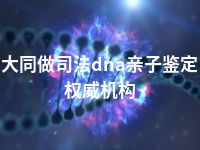 大同做司法dna亲子鉴定权威机构