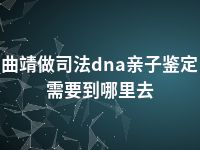 曲靖做司法dna亲子鉴定需要到哪里去