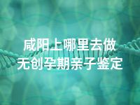 咸阳上哪里去做无创孕期亲子鉴定