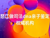 怒江做司法dna亲子鉴定权威机构