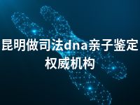 昆明做司法dna亲子鉴定权威机构