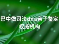 巴中做司法dna亲子鉴定权威机构