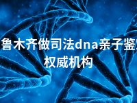 乌鲁木齐做司法dna亲子鉴定权威机构