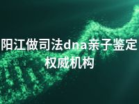 阳江做司法dna亲子鉴定权威机构