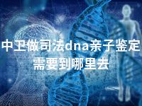 中卫做司法dna亲子鉴定需要到哪里去