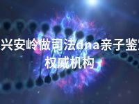 大兴安岭做司法dna亲子鉴定权威机构