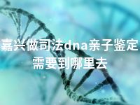 嘉兴做司法dna亲子鉴定需要到哪里去