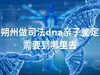 朔州做司法dna亲子鉴定需要到哪里去