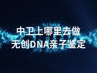 中卫上哪里去做无创DNA亲子鉴定