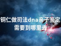 铜仁做司法dna亲子鉴定需要到哪里去