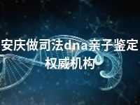 安庆做司法dna亲子鉴定权威机构