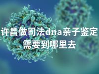 许昌做司法dna亲子鉴定需要到哪里去