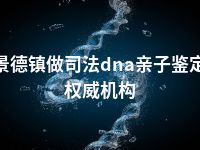 景德镇做司法dna亲子鉴定权威机构