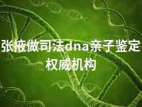 张掖做司法dna亲子鉴定权威机构