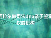 阿拉尔做司法dna亲子鉴定权威机构