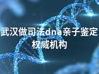 武汉做司法dna亲子鉴定权威机构