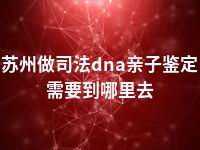 苏州做司法dna亲子鉴定需要到哪里去