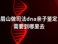 眉山做司法dna亲子鉴定需要到哪里去